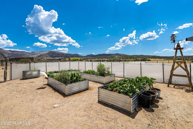 view of yard featuring a mountain view