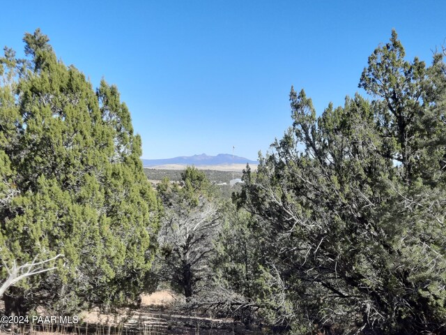 LOT3408 W Dulce Ln, Seligman, AZ 86337 - photo 3