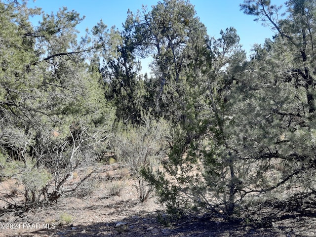 Listing photo 2 for LOT3408 W Dulce Ln, Seligman AZ 86337