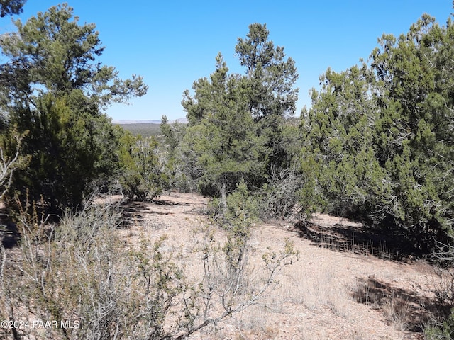 LOT3408 W Dulce Ln, Seligman, AZ 86337 - photo 5