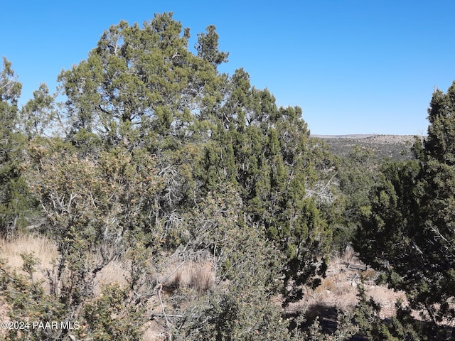 LOT3408 W Dulce Ln, Seligman, AZ 86337 - photo 10