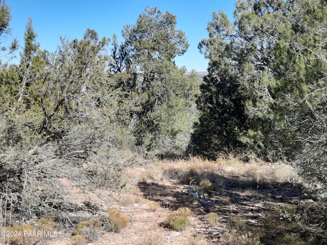 LOT3408 W Dulce Ln, Seligman, AZ 86337 - photo 11