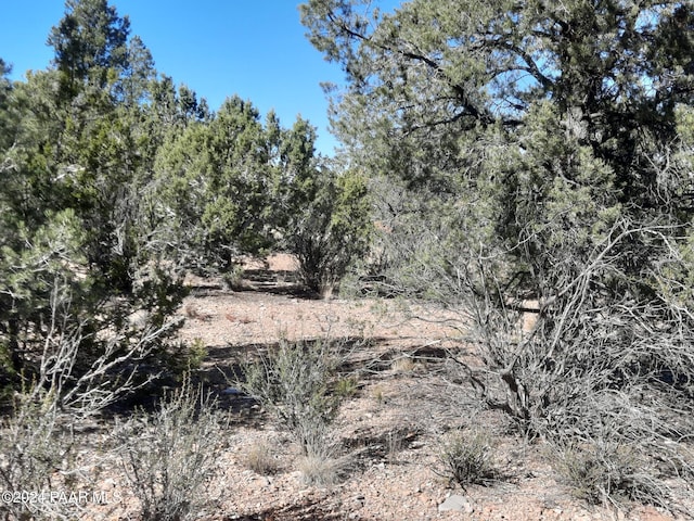 LOT3408 W Dulce Ln, Seligman AZ, 86337 land for sale