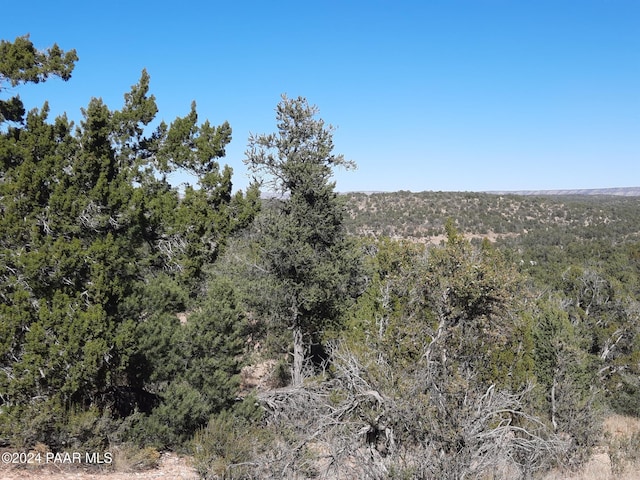 LOT3408 W Dulce Ln, Seligman, AZ 86337 - photo 7
