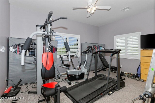 exercise room with carpet flooring, ceiling fan, and a wealth of natural light