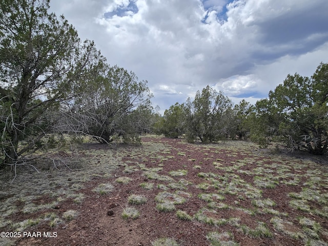 588 Mesa Dr, Williams, AZ 86046 - photo 41