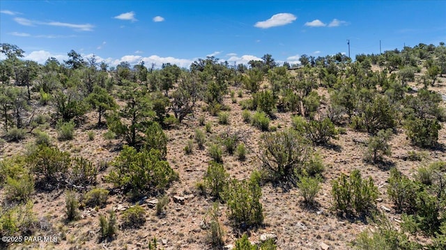 4725 W Hidden Canyon Rd, Chino Valley, AZ 86323