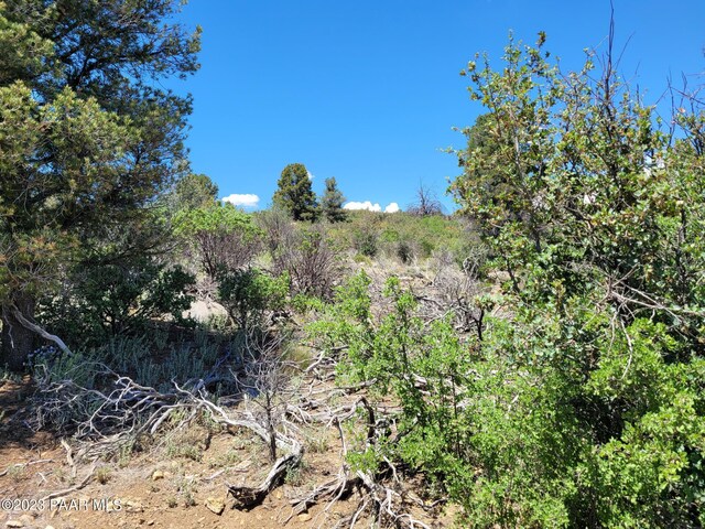 17926 S Pinon Ln, Peeples Valley, AZ 86332 - photo 12
