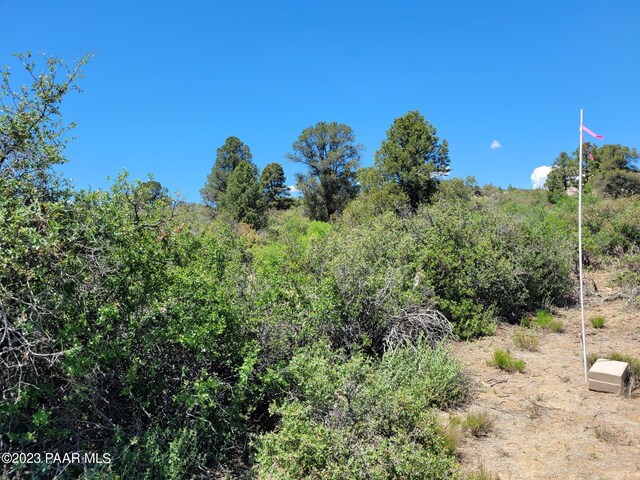 17926 S Pinon Ln, Peeples Valley, AZ 86332 - photo 13