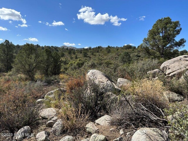 17926 S Pinon Ln, Peeples Valley, AZ 86332 - photo 6