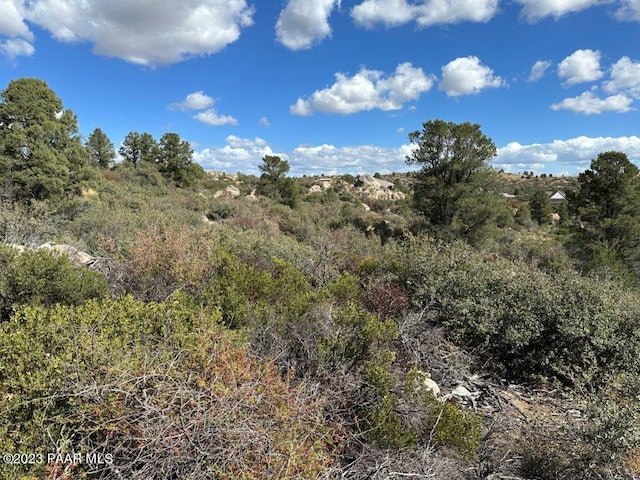 17926 S Pinon Ln, Peeples Valley, AZ 86332 - photo 8