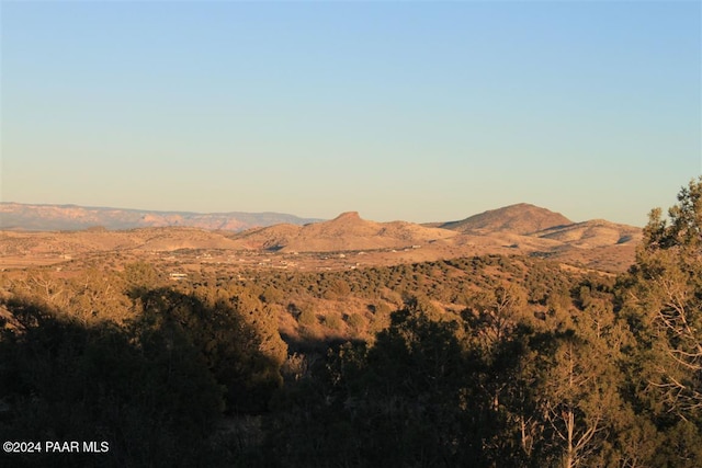 view of mountain feature