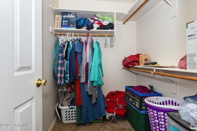 spacious closet with carpet floors