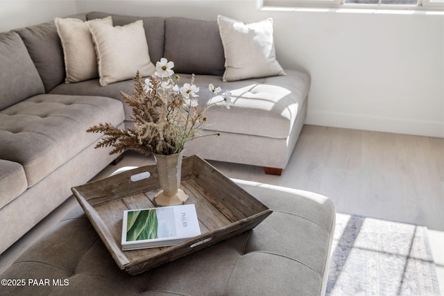 living room featuring hardwood / wood-style flooring