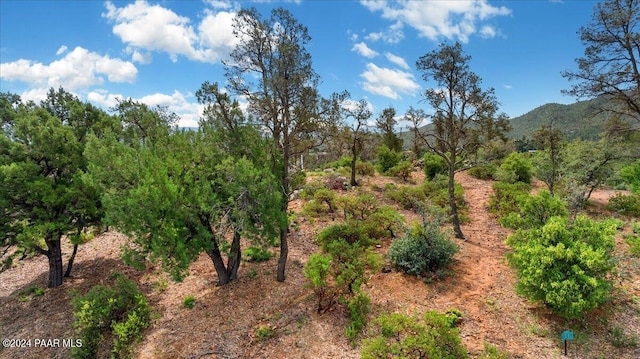 2115 Forest Mountain Rd, Prescott, AZ 86303