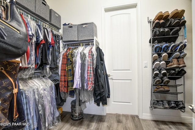 walk in closet with hardwood / wood-style floors