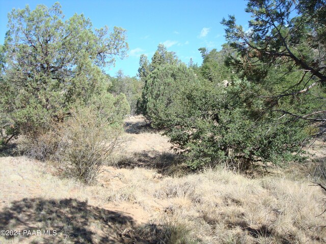 1321 Gifford Dr, Prescott, AZ 86305 - photo 14