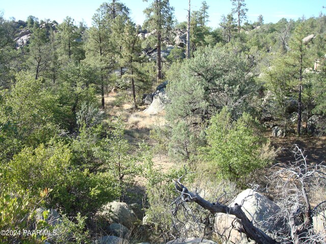 1321 Gifford Dr, Prescott, AZ 86305 - photo 15