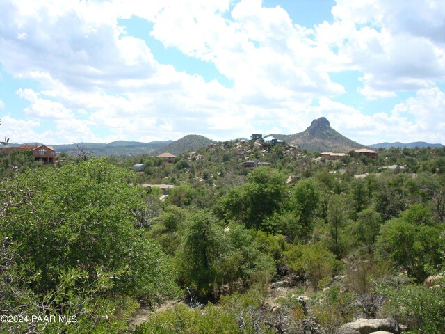 1321 Gifford Dr, Prescott, AZ 86305 - photo 23
