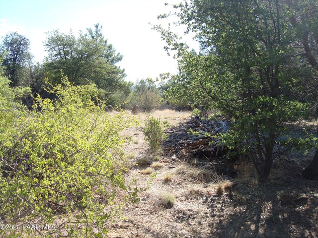 1321 Gifford Dr, Prescott, AZ 86305 - photo 18