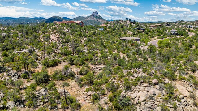 1321 Gifford Dr, Prescott, AZ 86305 - photo 19