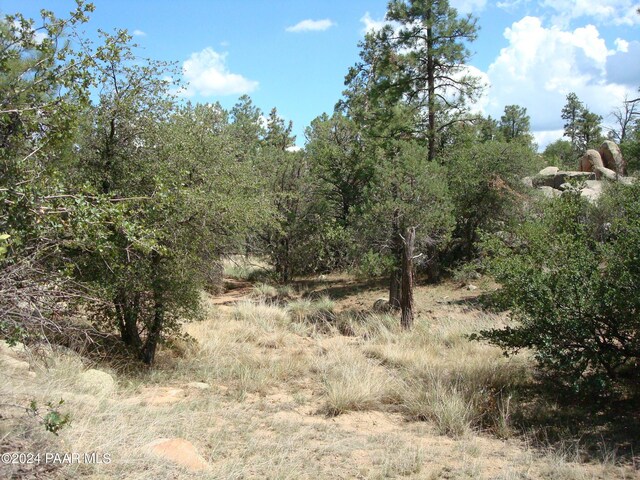 1321 Gifford Dr, Prescott, AZ 86305 - photo 12