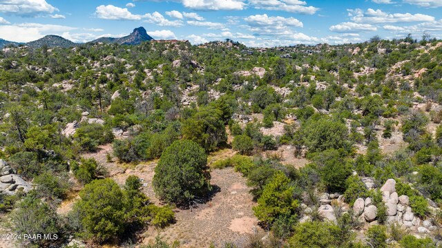 1321 Gifford Dr, Prescott, AZ 86305 - photo 6