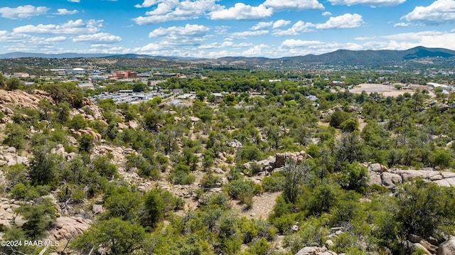1321 Gifford Dr, Prescott, AZ 86305 - photo 5