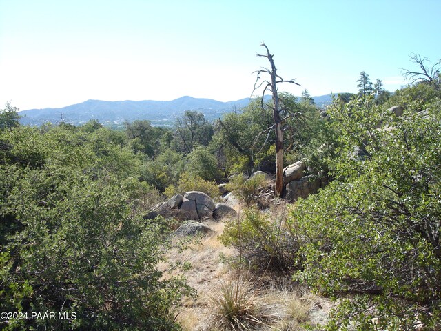 1321 Gifford Dr, Prescott, AZ 86305 - photo 21