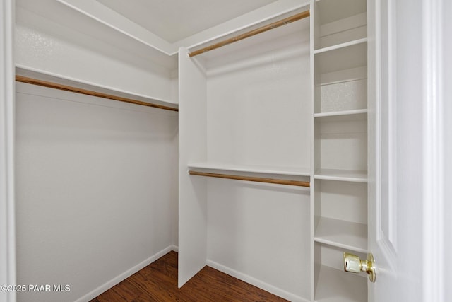 walk in closet with wood finished floors