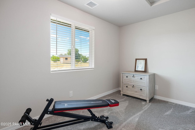 1725 W Bumblebee Rd, Chino Valley, AZ 86323 - photo 29