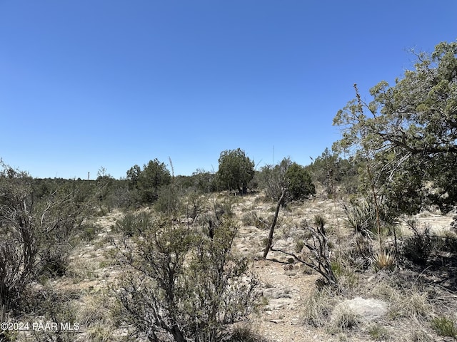 Listing photo 3 for K N Peaceful Hill Rd, Seligman AZ 86337