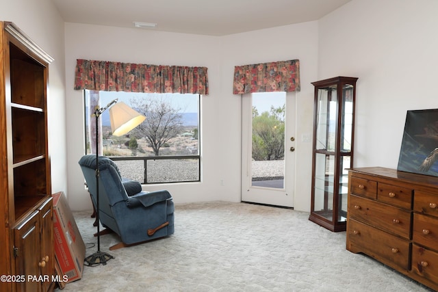1980 S Koch Ranch Rd, Cornville, AZ 86325 - sitting room with carpet flooring