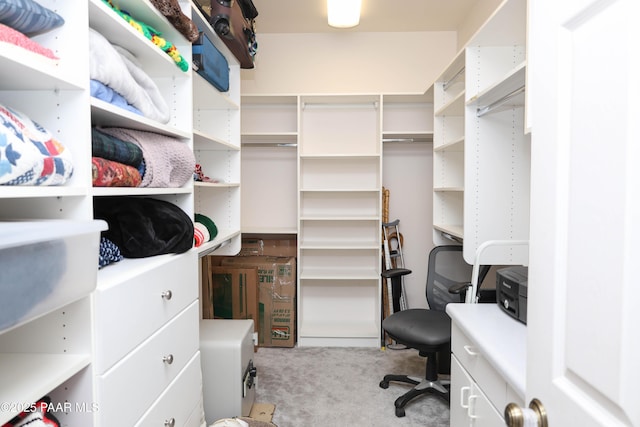 1980 S Koch Ranch Rd, Cornville, AZ 86325 - spacious closet with carpet flooring