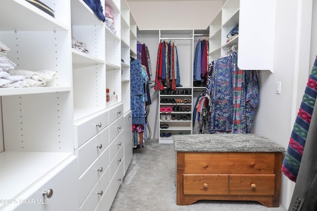 1980 S Koch Ranch Rd, Cornville, AZ 86325 - spacious closet with light carpet