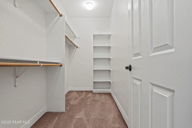 walk in closet featuring carpet