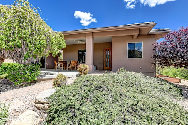 rear view of property with a ceiling fan, a patio, and stucco siding