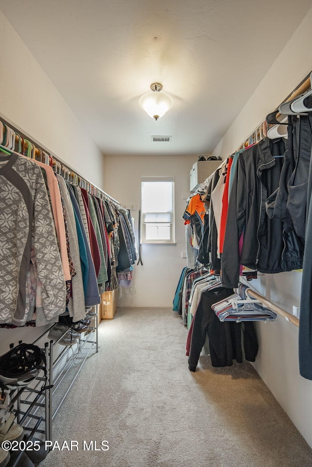 spacious closet with visible vents and carpet floors