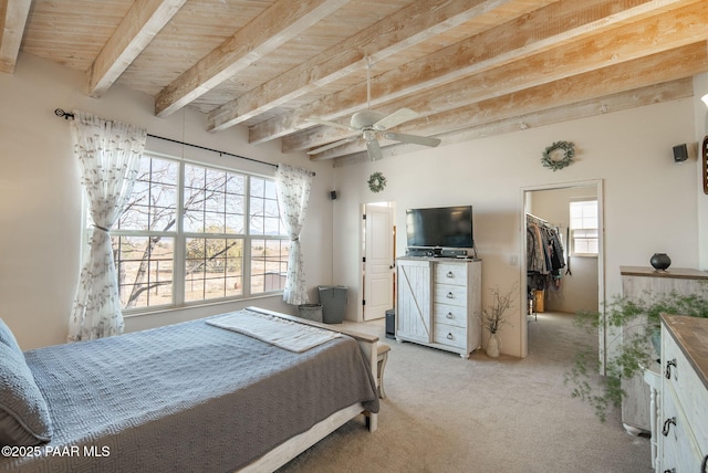 bedroom featuring beamed ceiling, multiple windows, a walk in closet, and carpet flooring