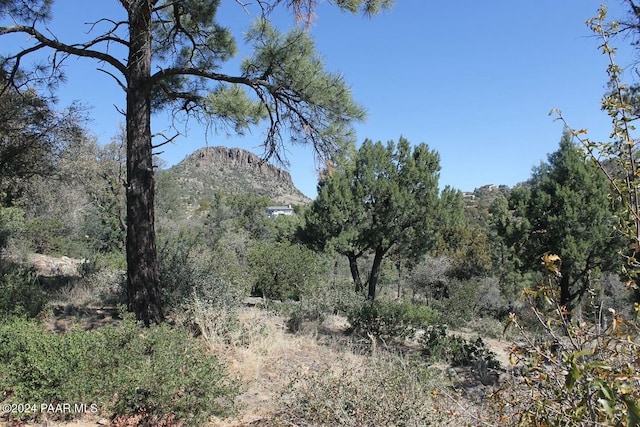 2282 Lichen Ridge Ln, Prescott AZ, 86303 land for sale