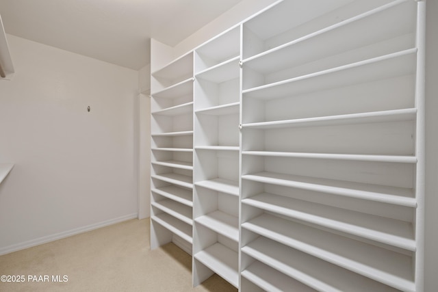2635 Tolemac Way, Prescott, AZ 86305 - spacious closet with carpet flooring