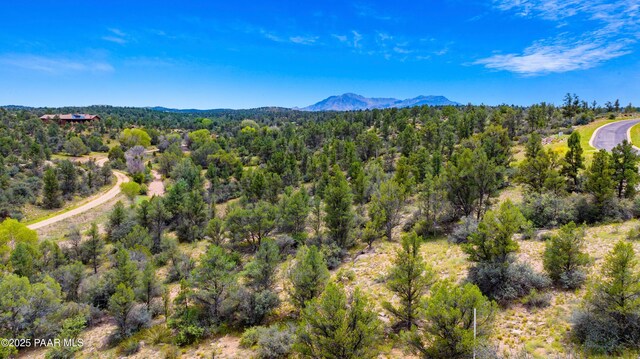 15245 N Little Diamond Way, Prescott, AZ 86305 - photo 1