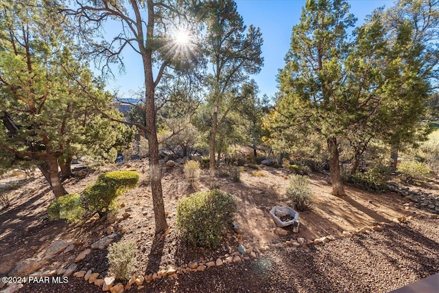 view of local wilderness