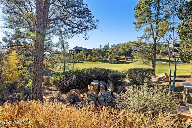 view of home's community featuring a yard