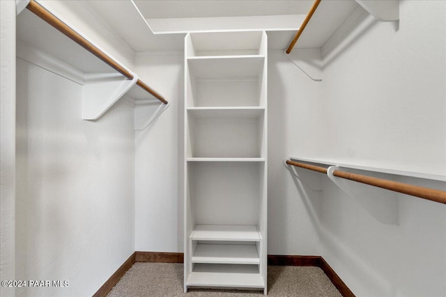 spacious closet with carpet floors