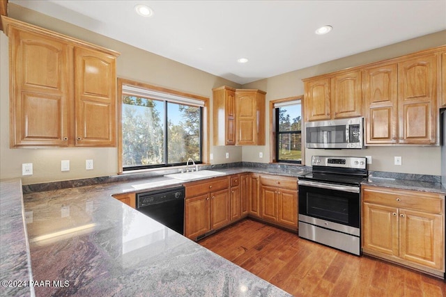 kitchen with hardwood / wood-style flooring, plenty of natural light, stainless steel appliances, and sink