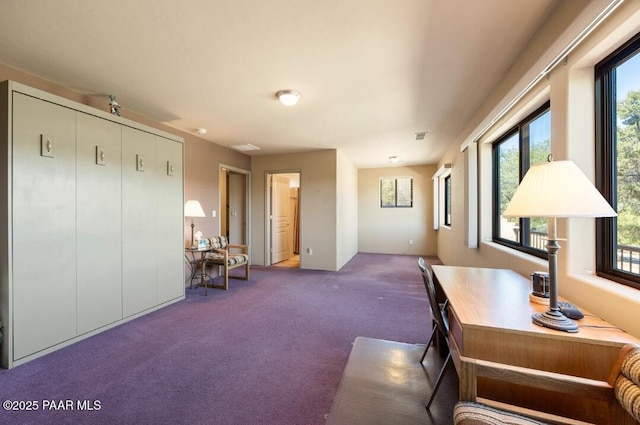 435 Fairway View Dr, Prescott, AZ 86303 - view of carpeted office space