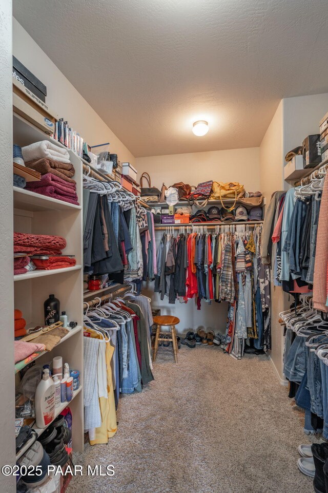 10559 Manzanita Trl, Dewey-Humboldt, AZ 86327 - walk in closet featuring carpet floors