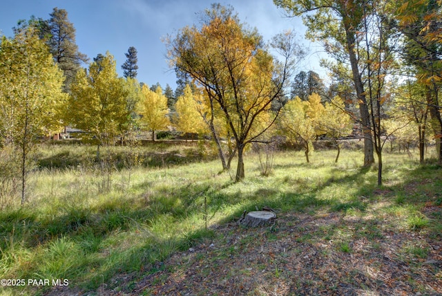 285 E Crestwood, Prescott, AZ 86303 - view of yard