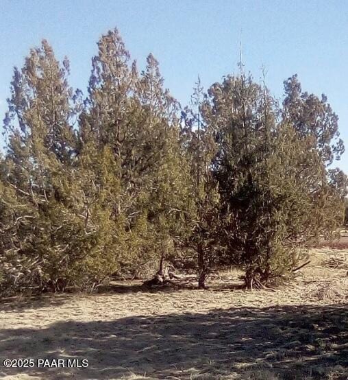 2276 W Picacho Dr, Williams, AZ 86046 - photo 2